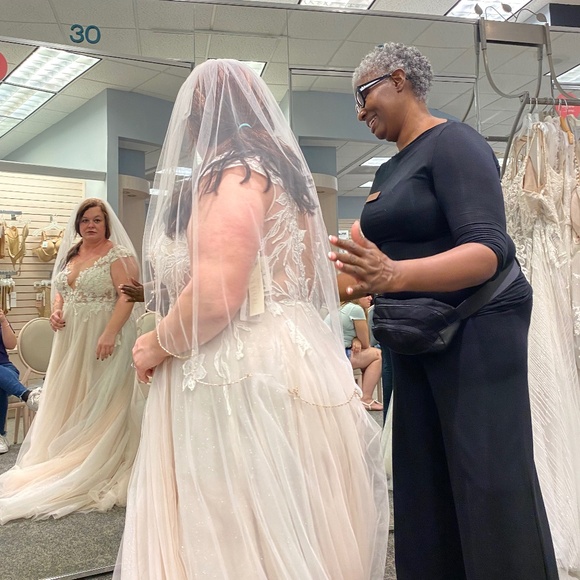 Wedding dress/Veil